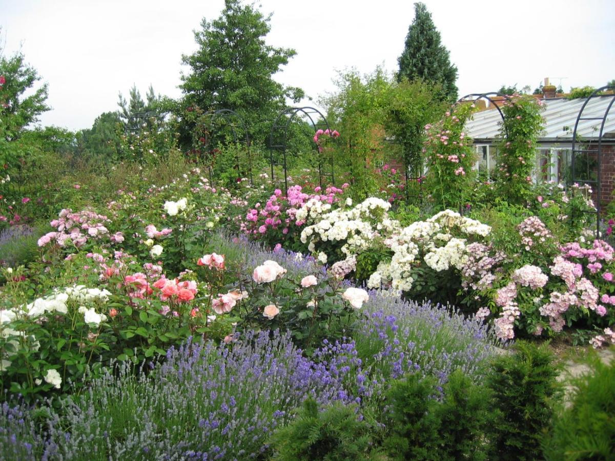 Mount Ephraim B&B Hernhill Dış mekan fotoğraf